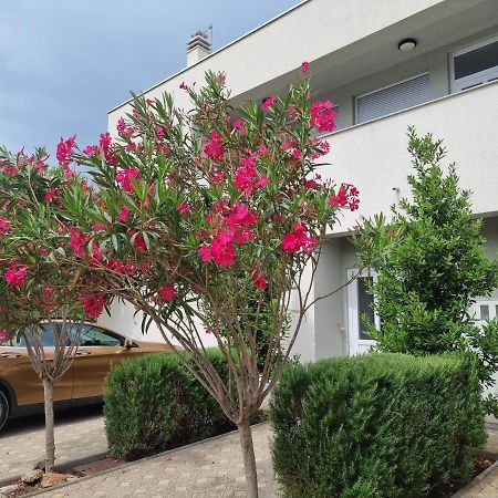 Apartmani Jozic Seline Ngoại thất bức ảnh