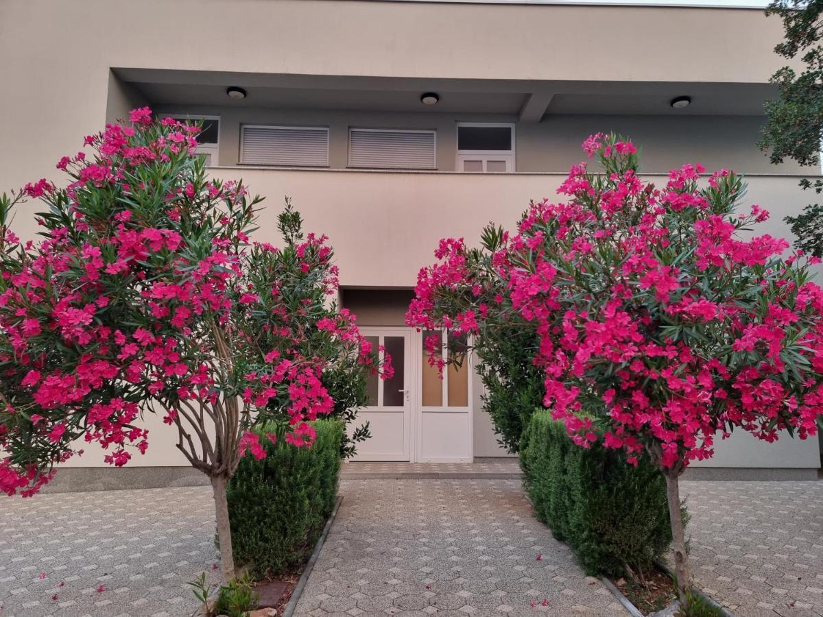 Apartmani Jozic Seline Ngoại thất bức ảnh